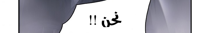 الصفحة 25
