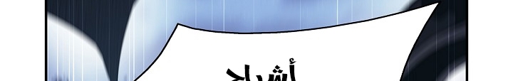 الصفحة 31