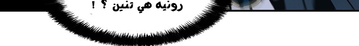 الصفحة 146