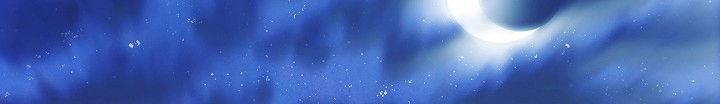 الصفحة 247