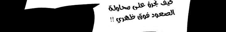 الصفحة 351