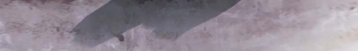 الصفحة 564