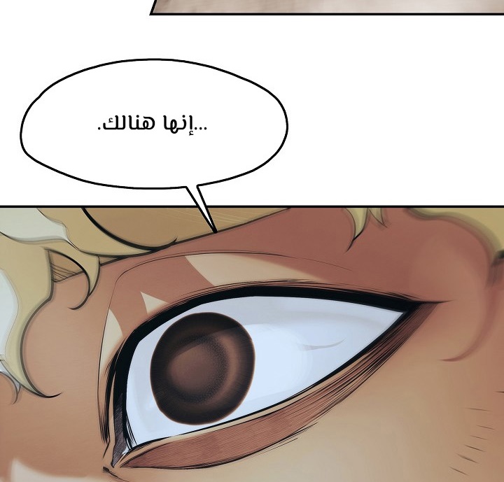 الصفحة 97