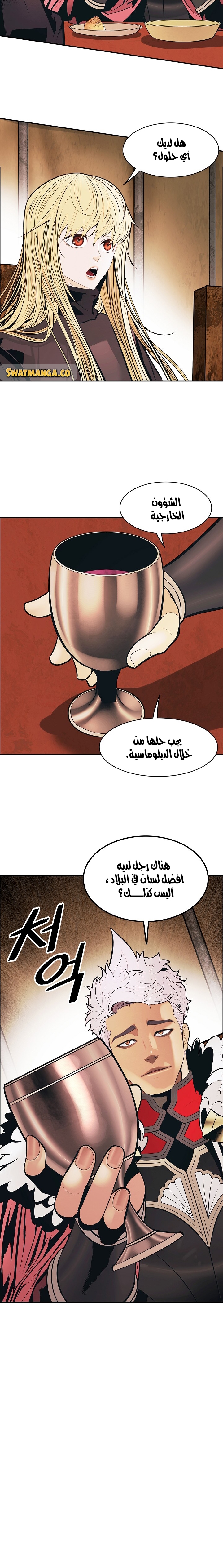 الصفحة 17