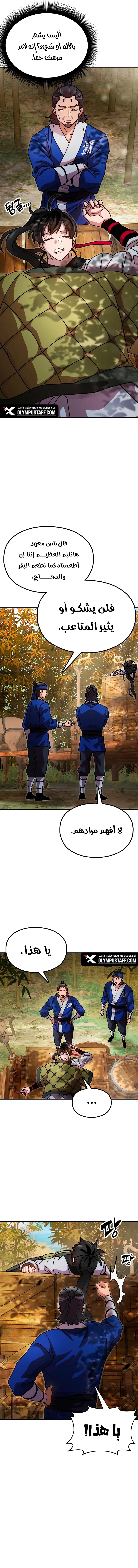 الصفحة 13