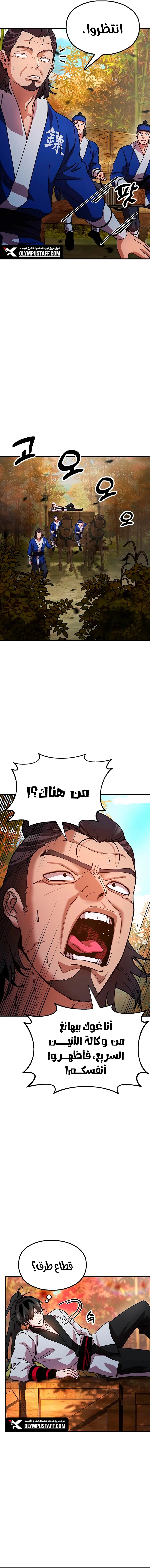 الصفحة 17