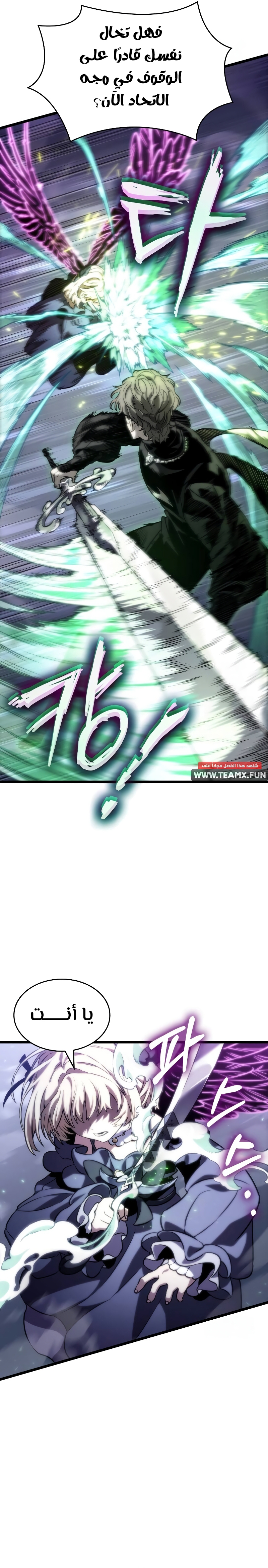 الصفحة 13