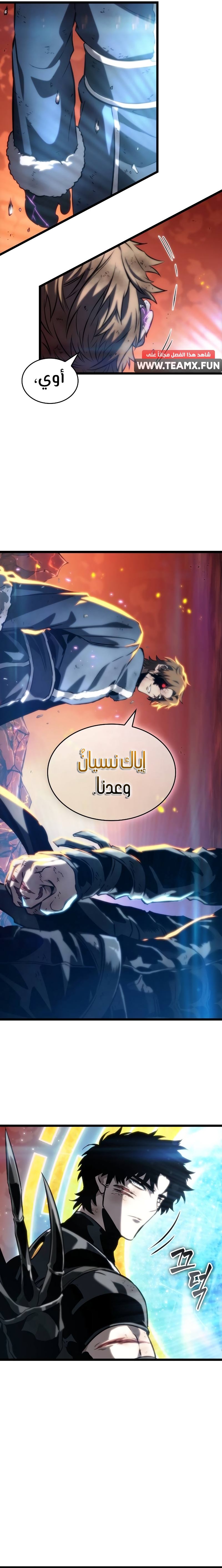 الصفحة 17