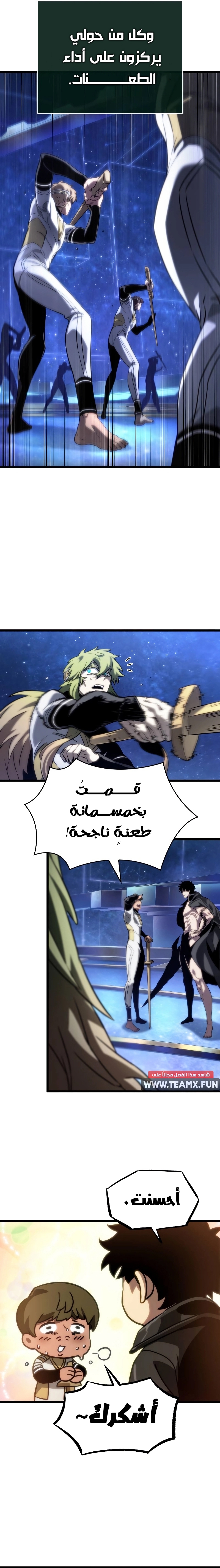 الصفحة 13