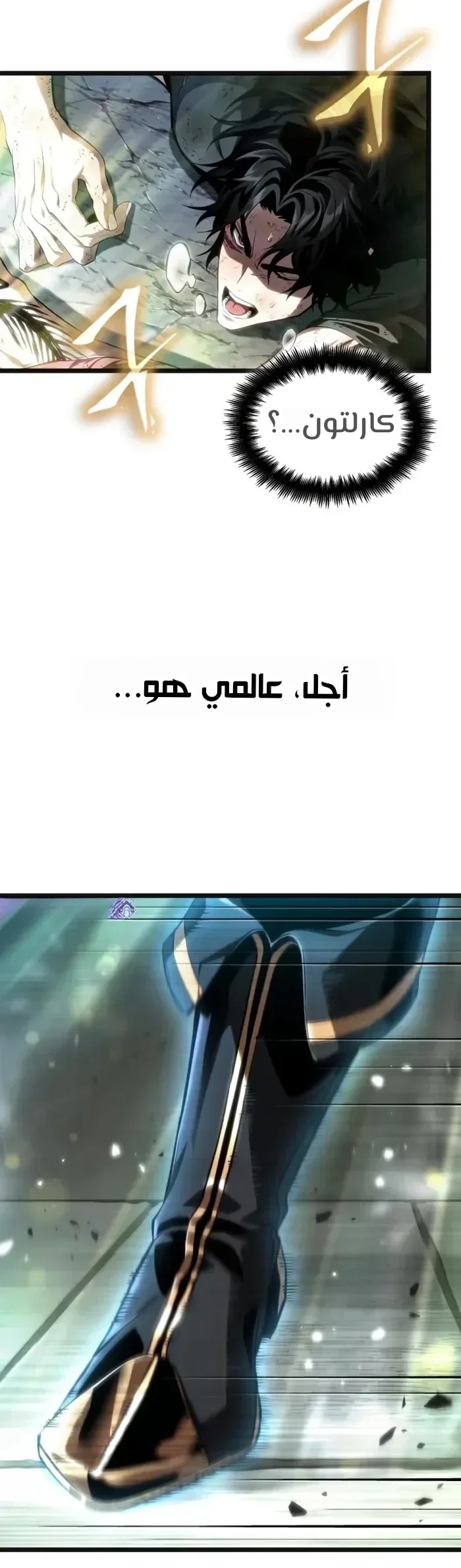 الصفحة 25