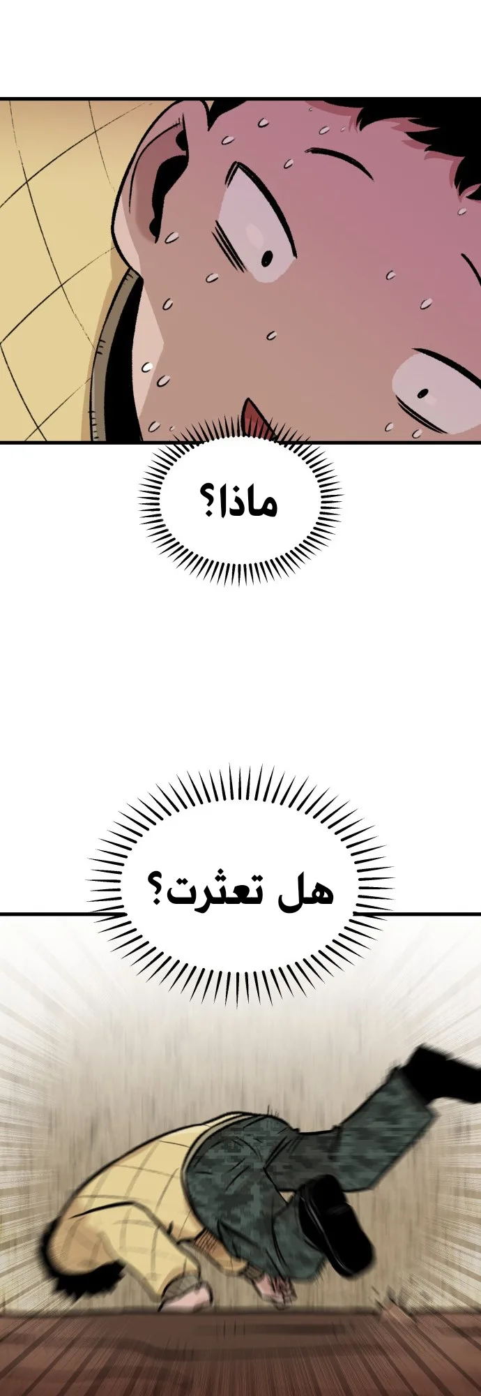 الصفحة 14