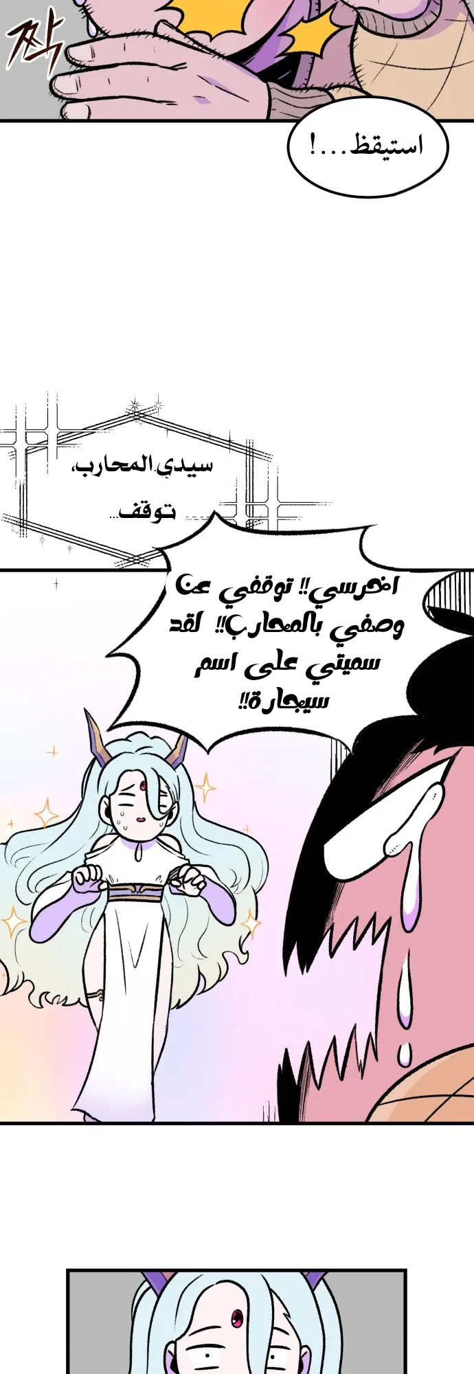 الصفحة 29