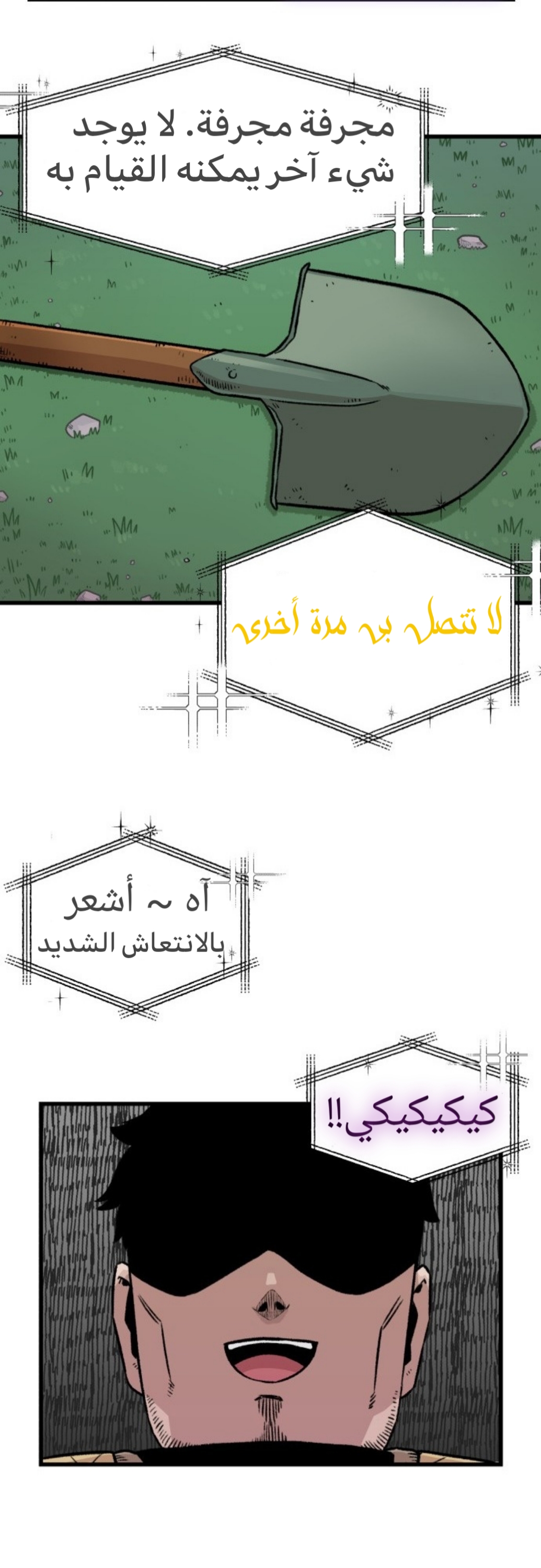 الصفحة 12