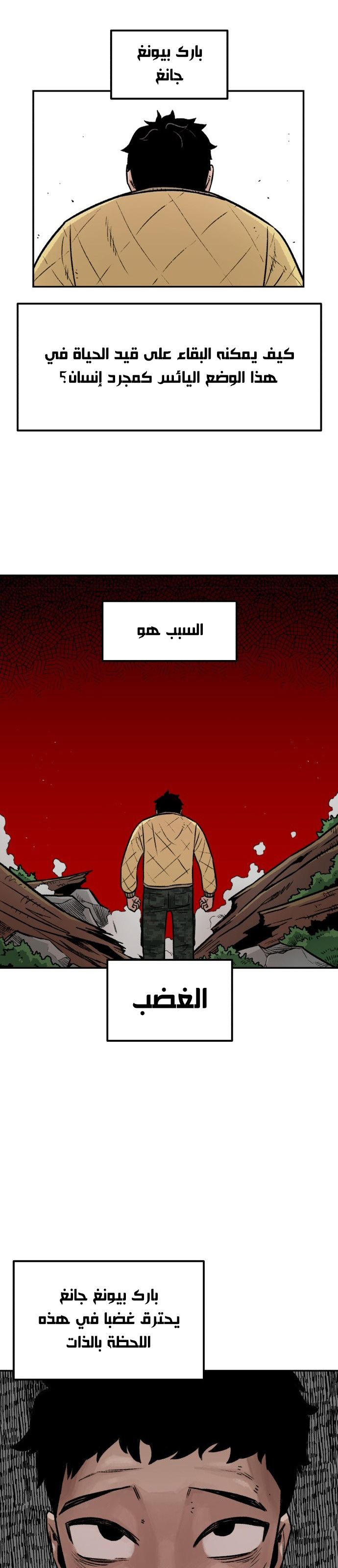 الصفحة 13