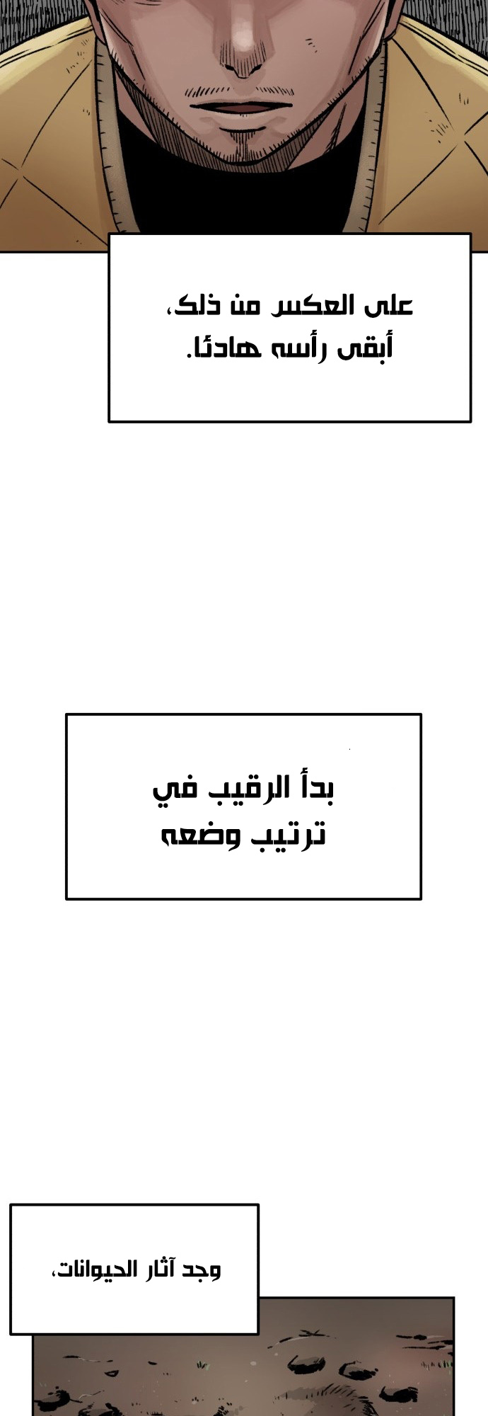 الصفحة 14