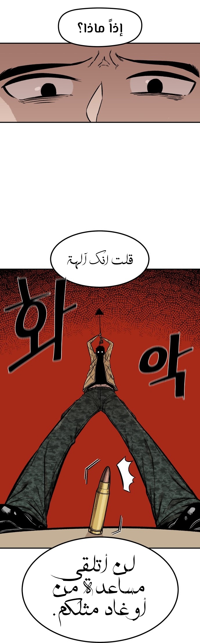 الصفحة 13