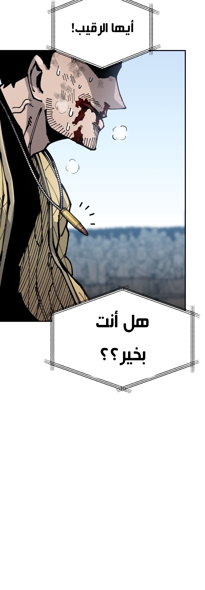 الصفحة 40