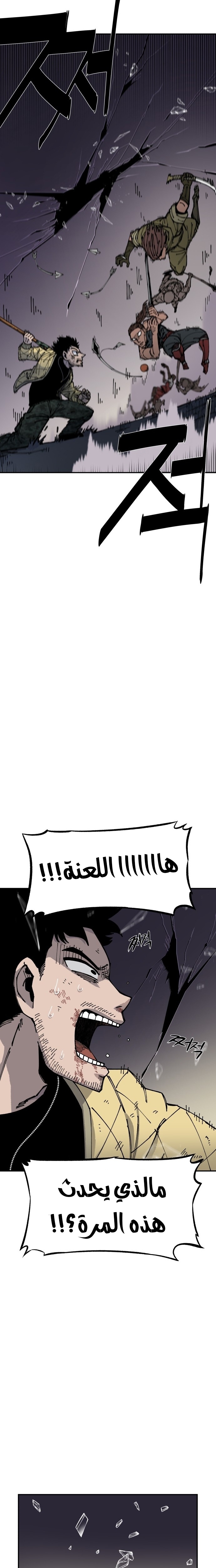 الصفحة 17