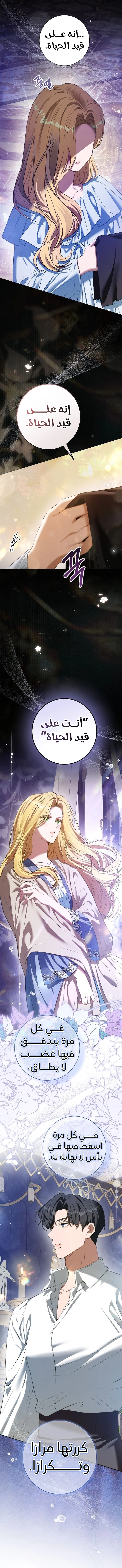الصفحة 19