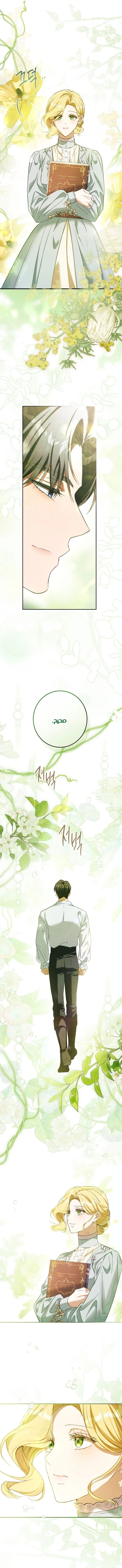 الصفحة 19
