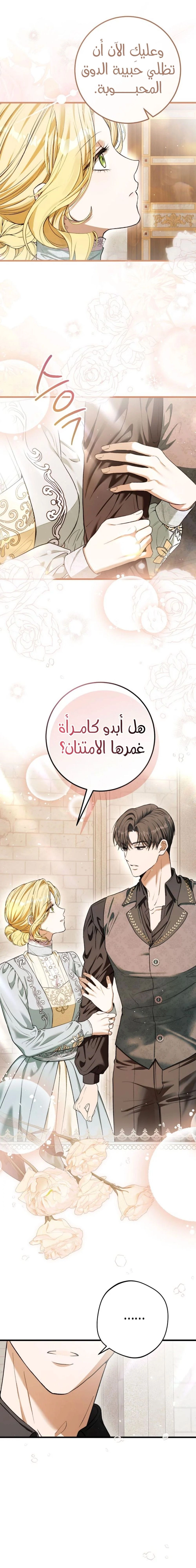 الصفحة 26