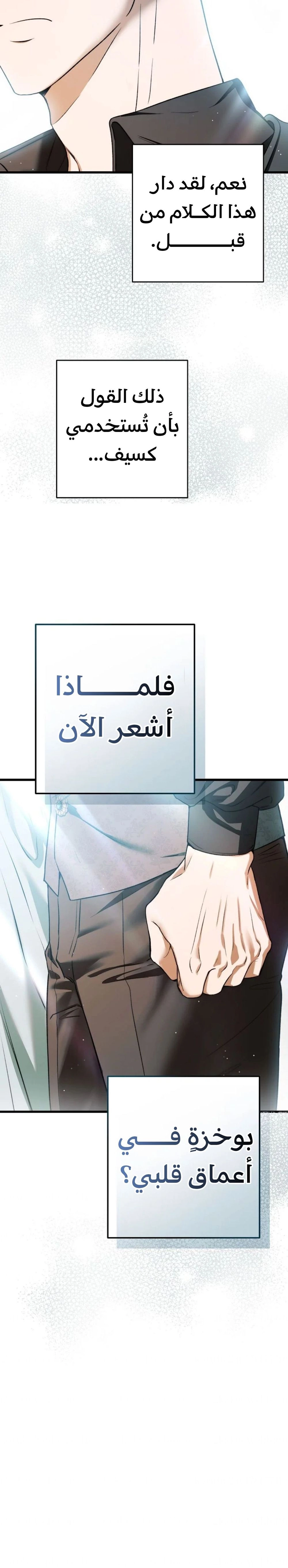 الصفحة 29