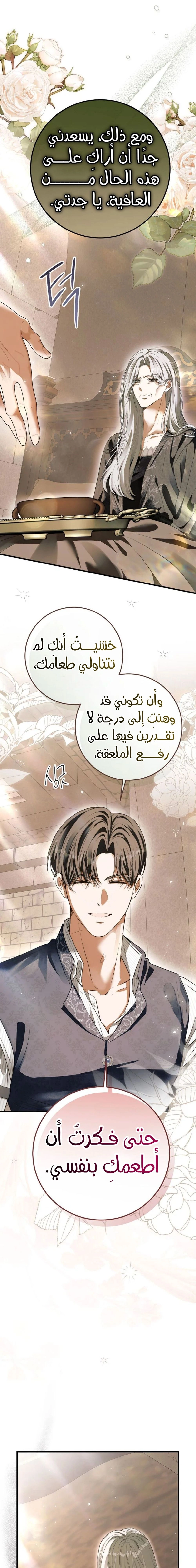 الصفحة 17
