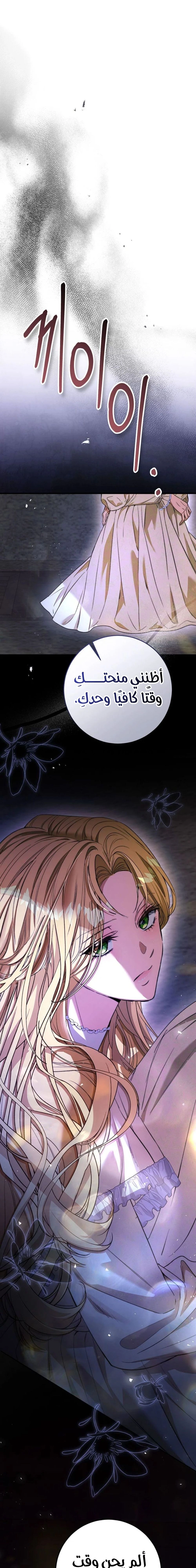 الصفحة 29