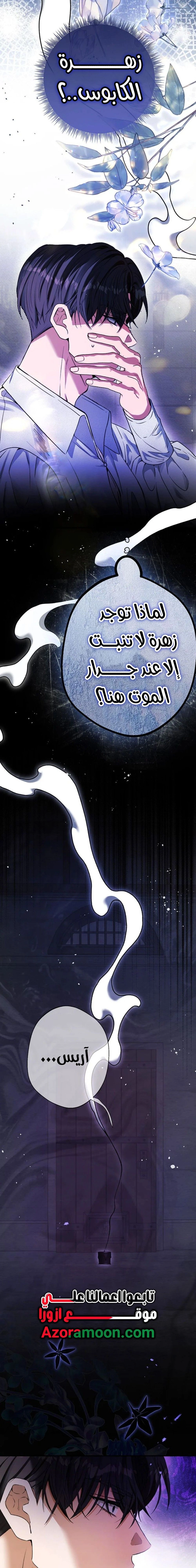 الصفحة 17