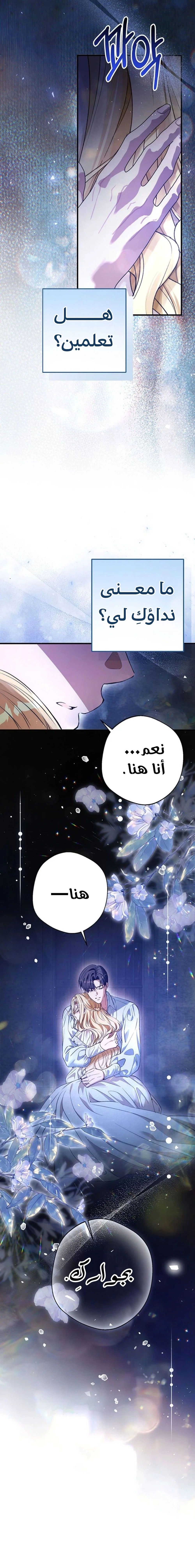 الصفحة 24