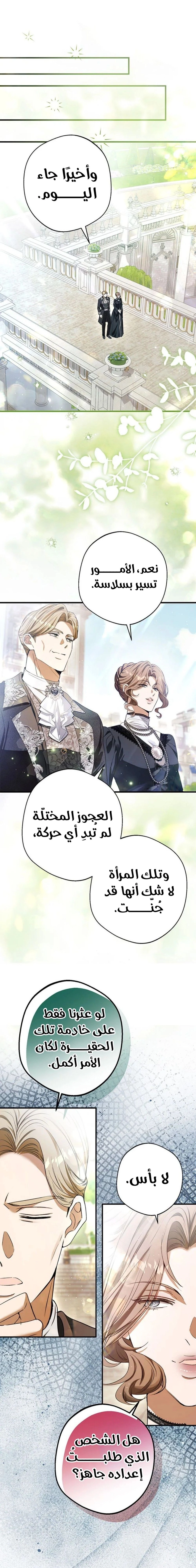 الصفحة 26
