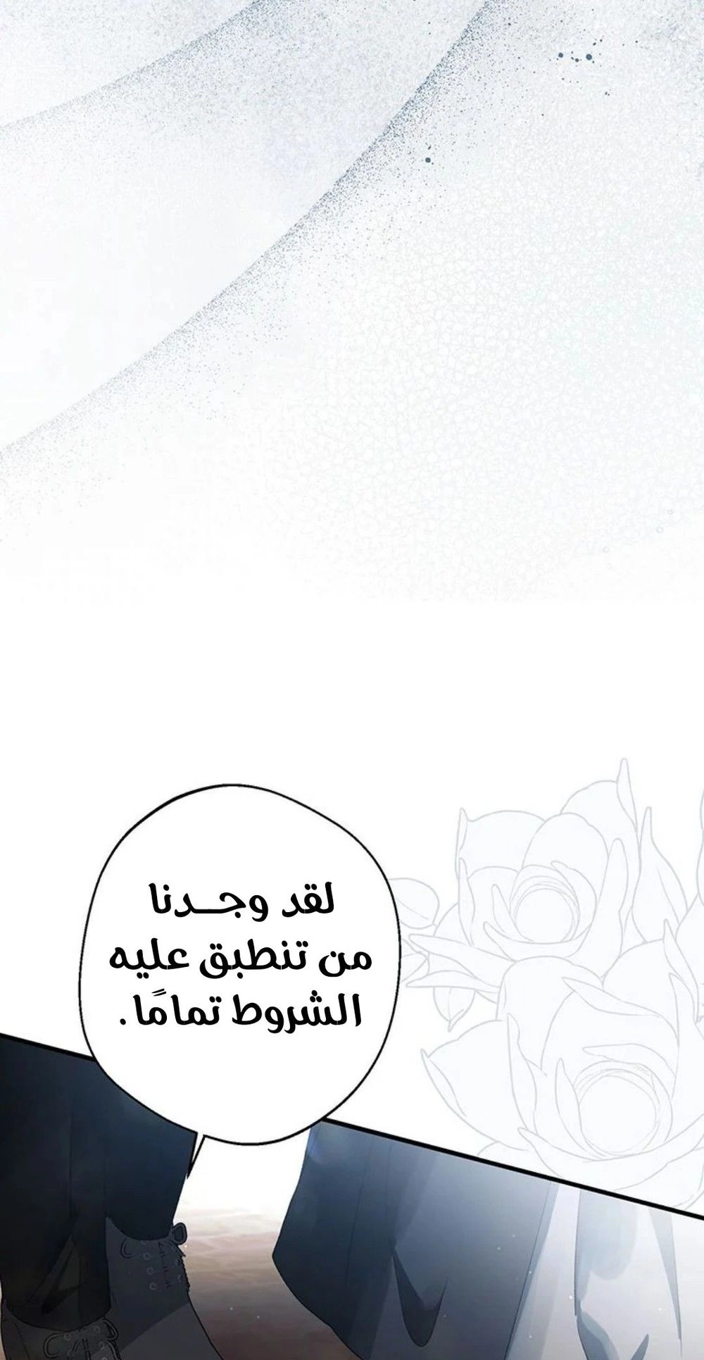 الصفحة 27