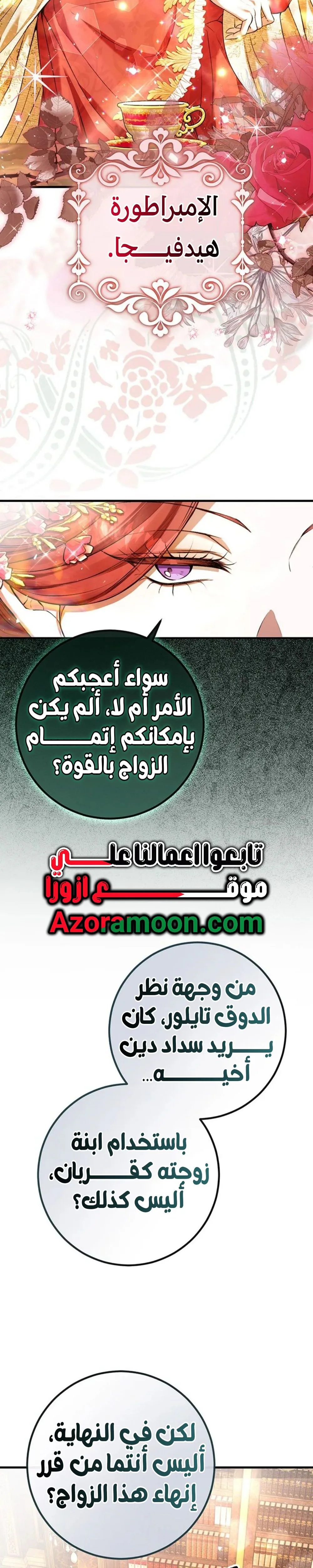 الصفحة 17