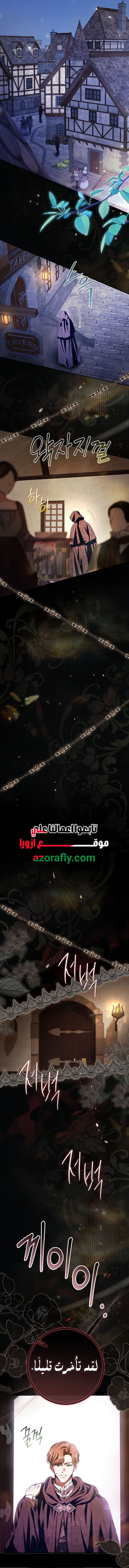الصفحة 11