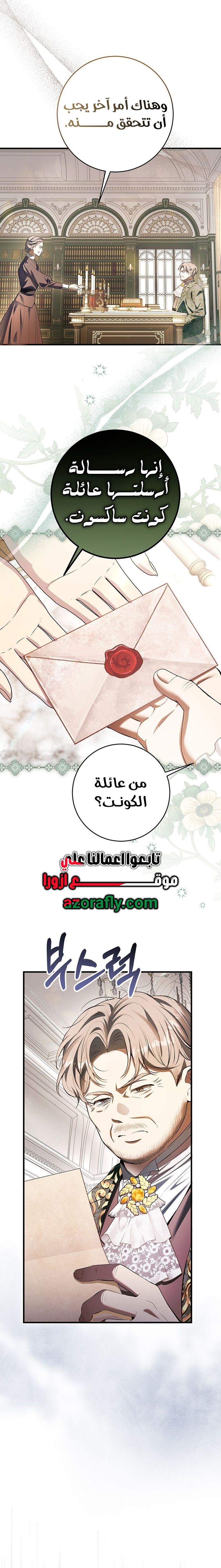 الصفحة 17