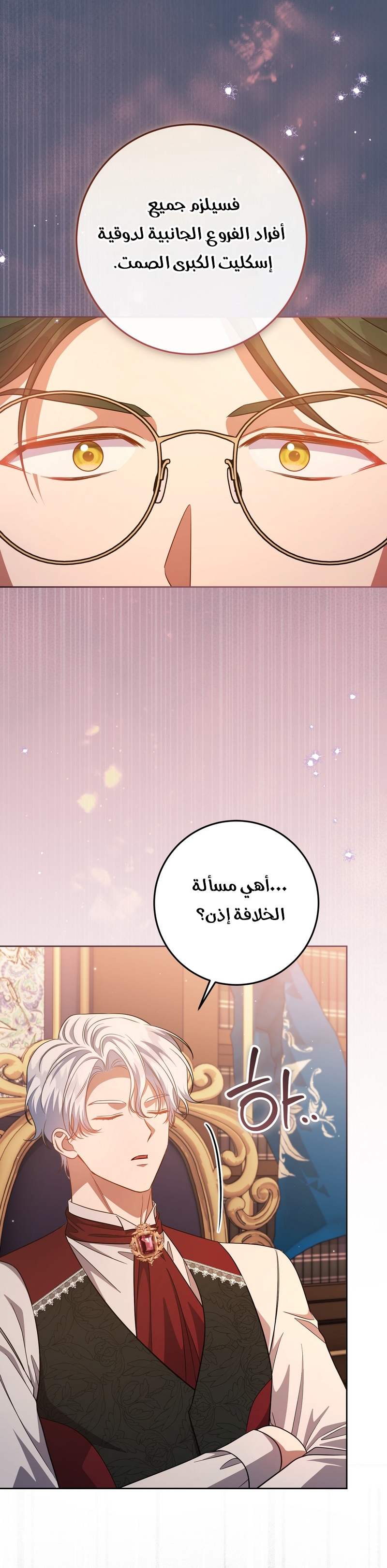 الصفحة 13