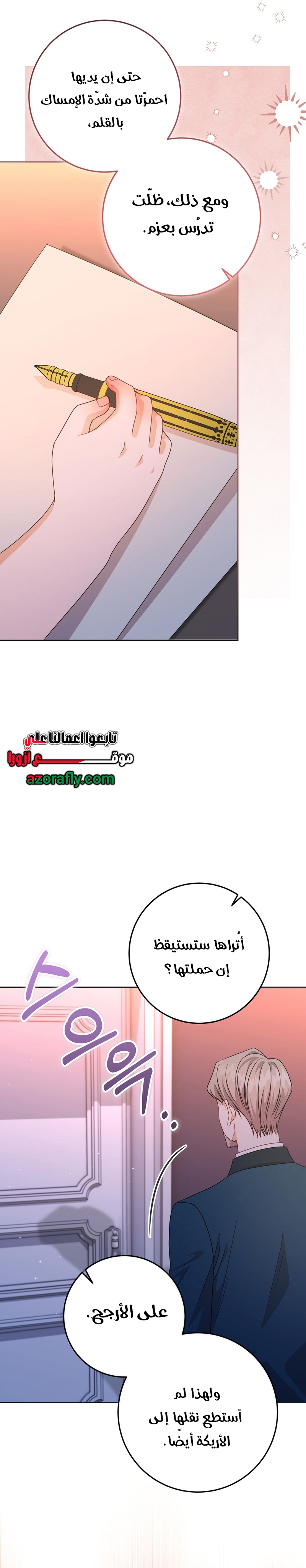 الصفحة 31