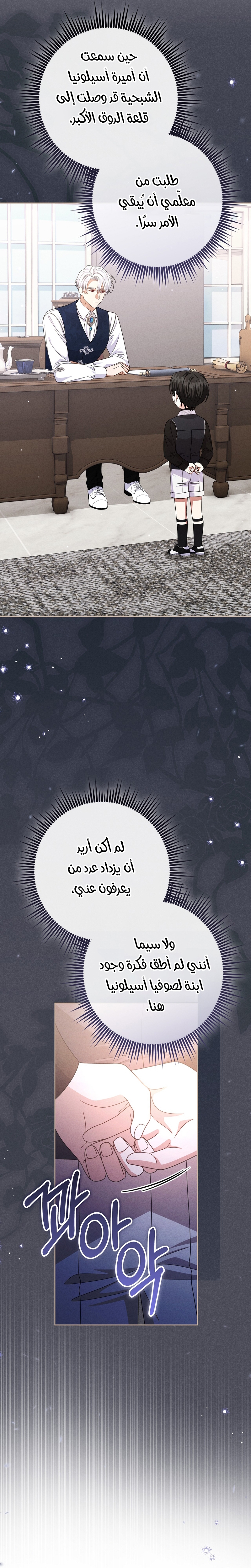 الصفحة 27