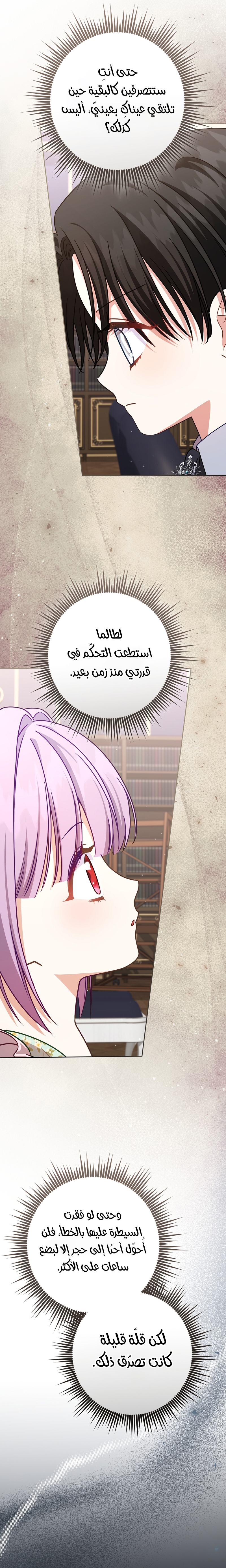 الصفحة 17