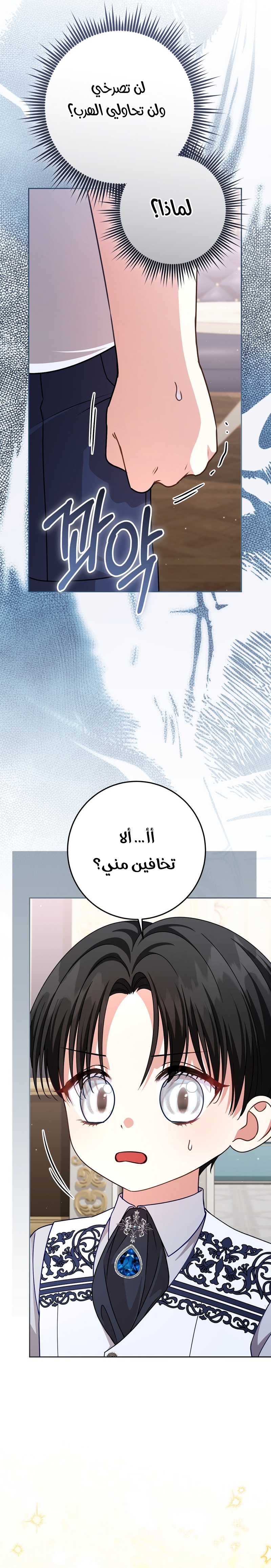الصفحة 24