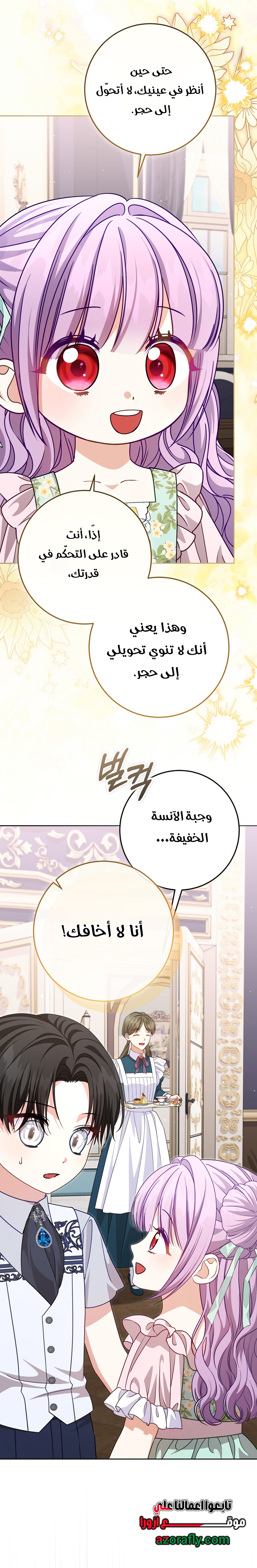 الصفحة 25