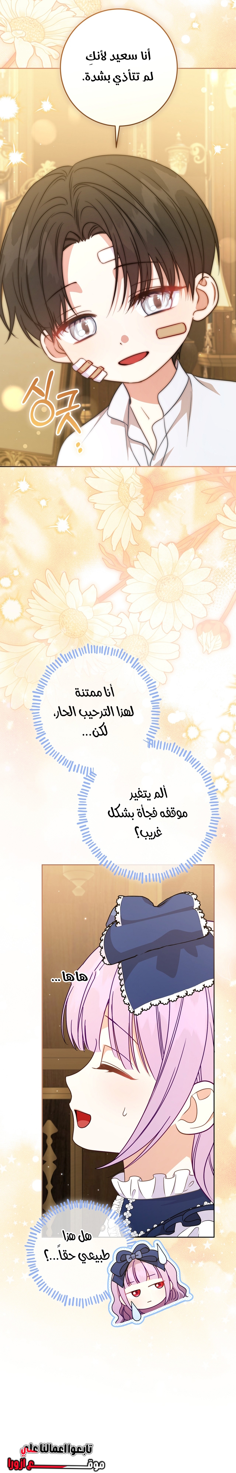 الصفحة 11