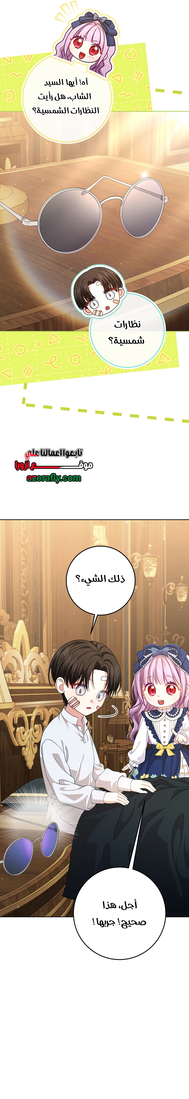 الصفحة 25