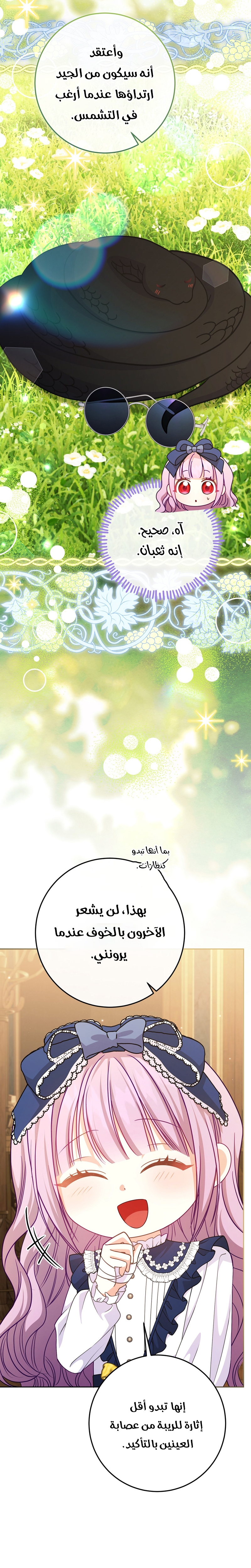 الصفحة 29