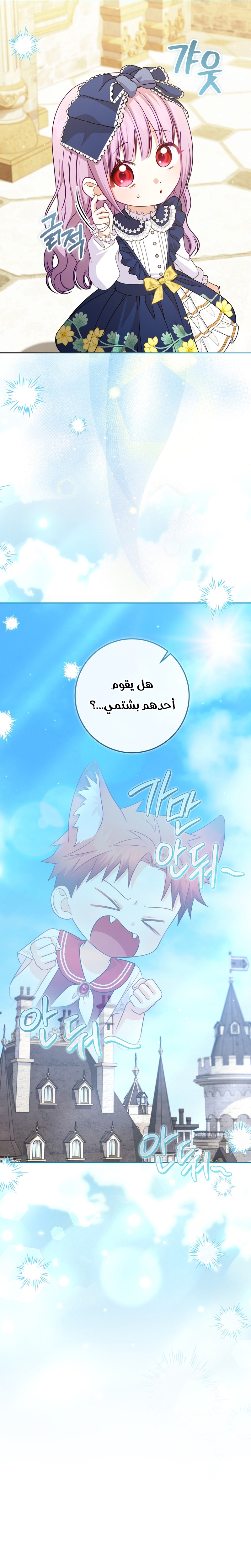 الصفحة 40