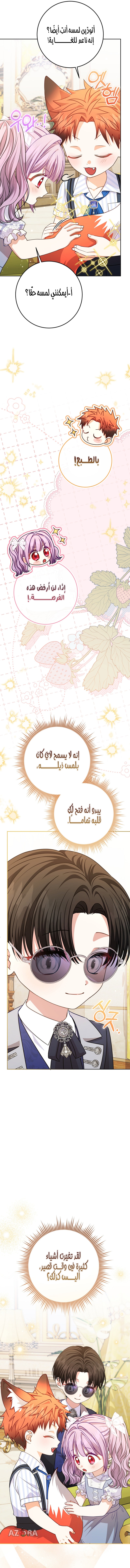 الصفحة 17