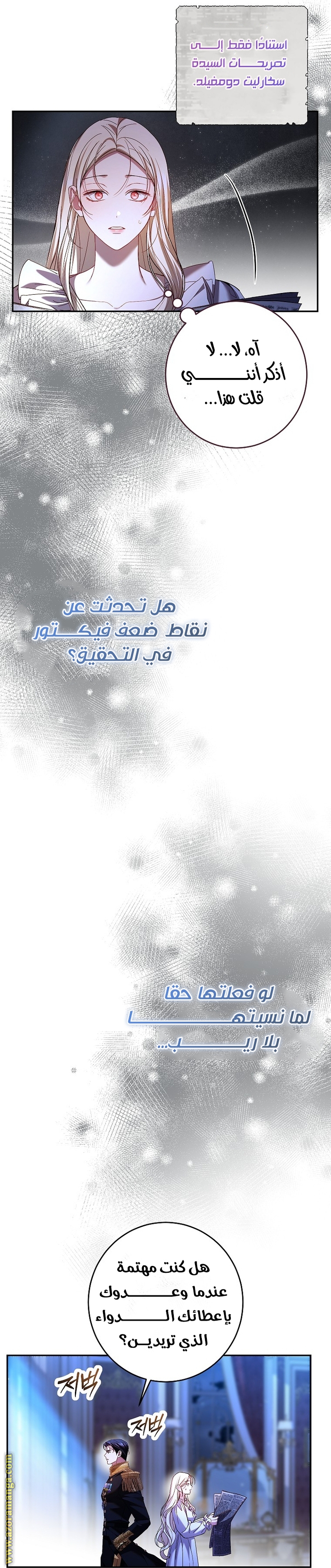 الصفحة 13