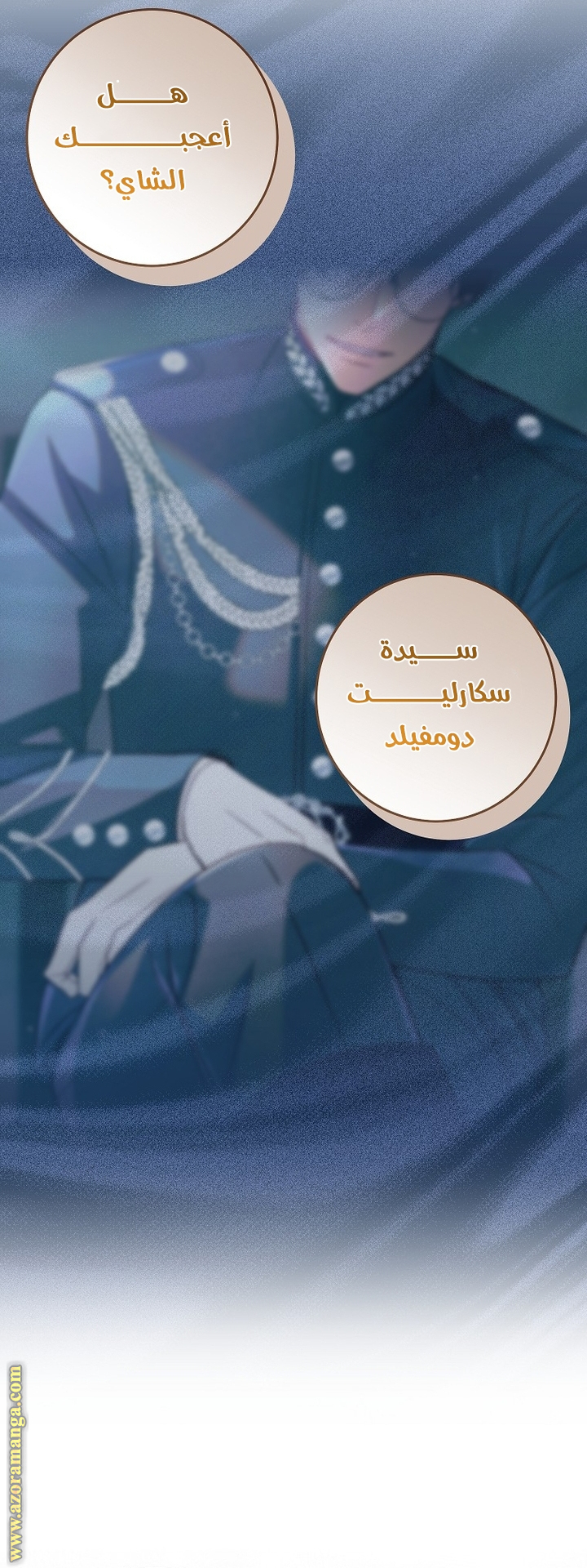 الصفحة 21