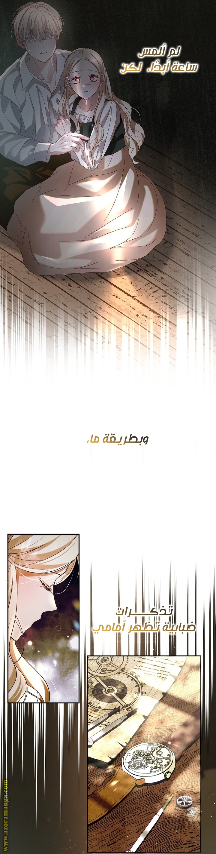 الصفحة 13