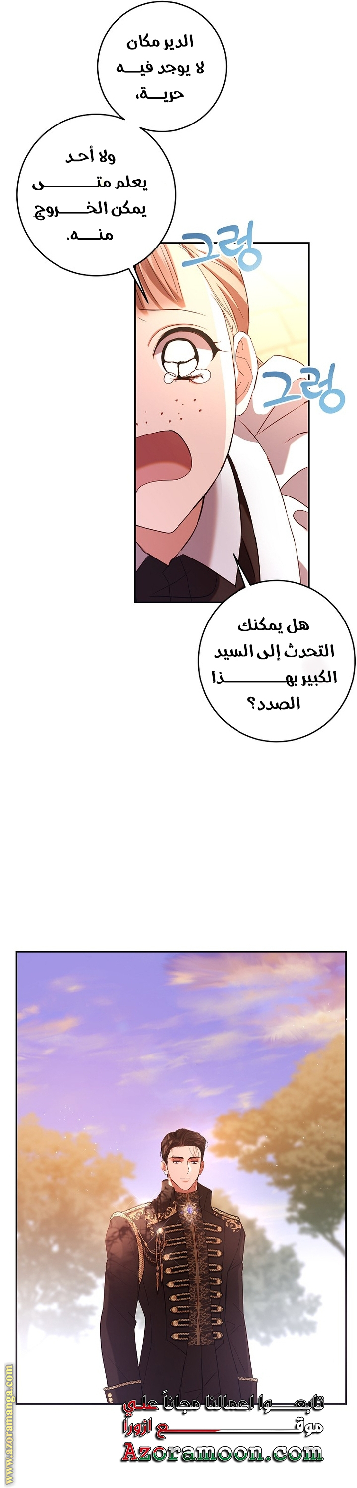 الصفحة 29